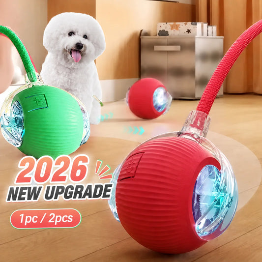 Smart Auto Rolling Dog Ball Toy — USB Rechargeable, Interactive Dog Toy