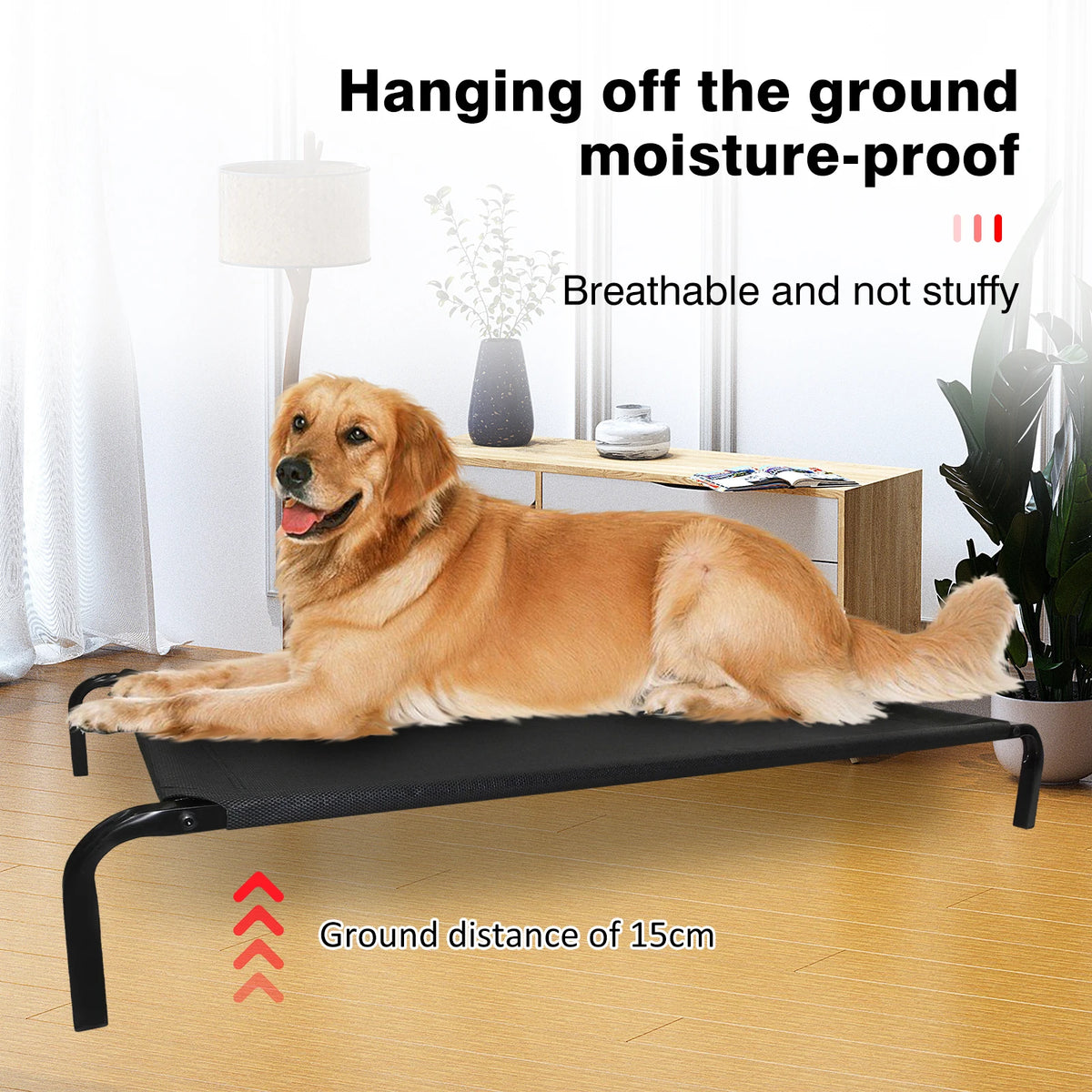 Elevated waterproof mesh dog bed with non-slip feet