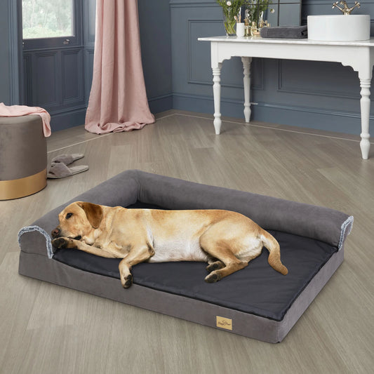 Memory Foam Dog Bed with side bolster dog bed