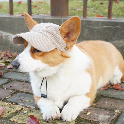 Fashion Big Dog Baseball Cap Durable Corduroy Adjustable Pet Sun Hat for Small Medium Large Dogs Golden Retriever Corgi Supplies
