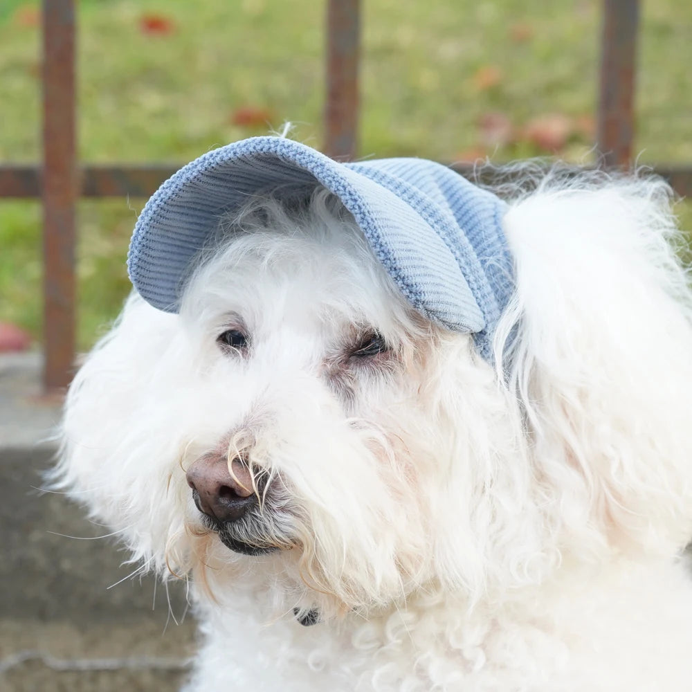 Fashion Big Dog Baseball Cap Durable Corduroy Adjustable Pet Sun Hat for Small Medium Large Dogs Golden Retriever Corgi Supplies