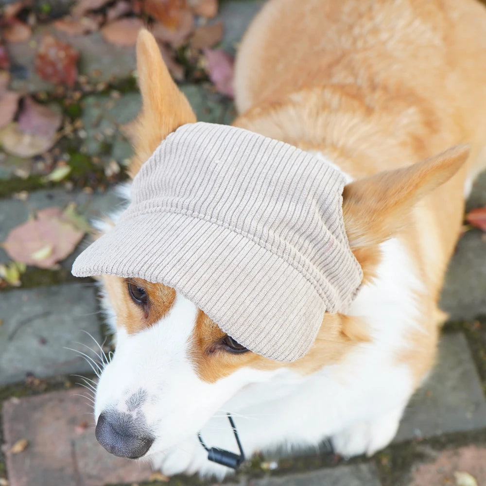 Fashion Big Dog Baseball Cap Durable Corduroy Adjustable Pet Sun Hat for Small Medium Large Dogs Golden Retriever Corgi Supplies
