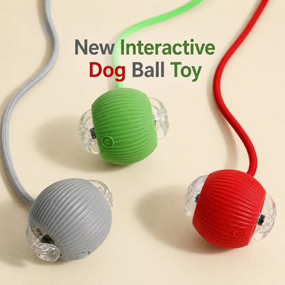 New Dog Interactive Ball Toy,Automatic Rolling Dog Ball Rechargeable,Smart Puppy Interactive Toy,Intelligent Balls Toy for Dogs