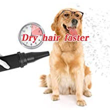 VickyHome Motorcycle Car Bike Vechicle Power Dryer, Portable Blower & Blaster Pet Dog Grooming Dryer- Dry and Dust