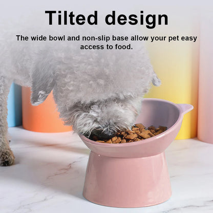 elevated tilted cat bowl prevent vomit