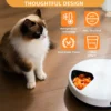 kf Aef4d5858c54548d9808543163c45d603X Cat Litter Boxes, Dog Collars, Automatic Pet Feeder, Cat toys, Indestructible Dog Toys, Outdoor Cat House ,Dog House and many more — Fast delivery at door step
