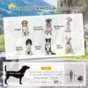 kf S32c0ea20b24f44ec94cc6b0cd5281dbfd Cat Litter Boxes, Dog Collars, Automatic Pet Feeder, Cat toys, Indestructible Dog Toys, Outdoor Cat House ,Dog House and many more — Fast delivery at door step