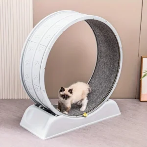 kf-S48c1a9f2681f4833be2c75ebeaed0c5cV Cat Running Exercise Wheel Treadmill, Ultra-Quiet Safety Cat Training Toy with and Locking Mechanism,Removable Carpeted Runway