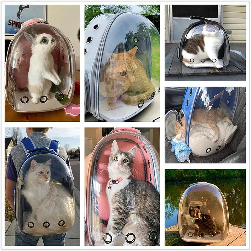 kf Sc017cc7c94dc42caaf56b9c03bebb338H Cat Litter Boxes, Dog Collars, Automatic Pet Feeder, Cat toys, Indestructible Dog Toys, Outdoor Cat House ,Dog House and many more — Fast delivery at door step