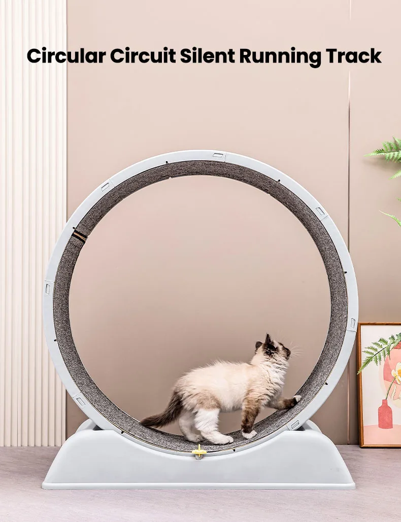 kf Sc13964aefd9143379f83090903e45a0ee Cat Litter Boxes, Dog Collars, Automatic Pet Feeder, Cat toys, Indestructible Dog Toys, Outdoor Cat House ,Dog House and many more — Fast delivery at door step