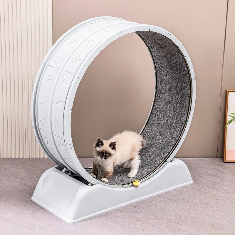 kf Sf9f6fe325ad14fe0a224acd9420ddc10u Cat Litter Boxes, Dog Collars, Automatic Pet Feeder, Cat toys, Indestructible Dog Toys, Outdoor Cat House ,Dog House and many more — Fast delivery at door step