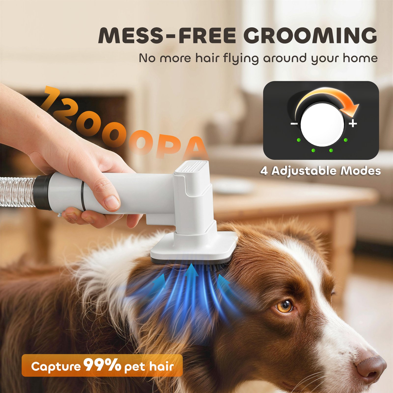 GaEVPLrwYhptEbDVn2sh5sPTAAUbzZ4jV5kDV2LECwwaosomGaEVPLrwYhptEbDVn2sh5sPTAAUbzZ4jV5kDV2LECww Cat Litter Boxes, Dog Collars, Automatic Pet Feeder, Cat toys, Indestructible Dog Toys, Outdoor Cat House ,Dog House and many more — Fast delivery at door step