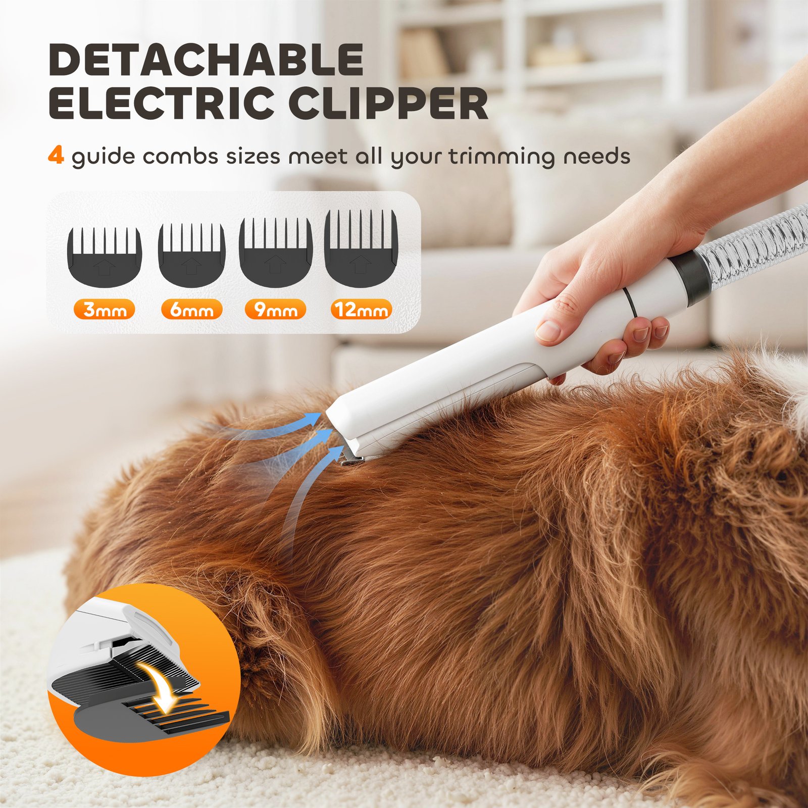 GaEVPLrwYhptEbDVn2sh5tp ji4EZQrpH537ddkus18aosomGaEVPLrwYhptEbDVn2sh5tp ji4EZQrpH537ddkus18 Cat Litter Boxes, Dog Collars, Automatic Pet Feeder, Cat toys, Indestructible Dog Toys, Outdoor Cat House ,Dog House and many more — Fast delivery at door step