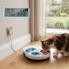 wet food feeder or wet feeder image 01