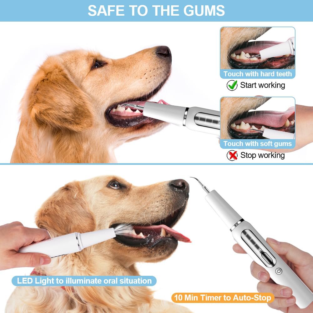 img ibank O1CN01TvSu2N1GL8YkTPmjo 2216811790605 0 cib Cat Litter Boxes, Dog Collars, Automatic Pet Feeder, Cat toys, Indestructible Dog Toys, Outdoor Cat House ,Dog House and many more — Fast delivery at door step