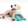 kf A06d55e8b93de4c1f8c18c835cb256abeW Cat Litter Boxes, Dog Collars, Automatic Pet Feeder, Cat toys, Indestructible Dog Toys, Outdoor Cat House ,Dog House and many more — Fast delivery at door step
