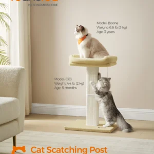 Feandrea Cat Scratching Post, Cat Scratcher with 40 x 30 cm Plush Perch, Cat Tree, 71 cm Tall Scratch Post, 45 x 40 cm Base