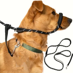 Extra Thick Soft-Padded Dog Collar with Muzzle - Heavy-Duty Non-Slip Leash, Adjustable Strap & Muzzle for Outdoor Safety, Traini