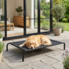dog bed and elevated dog bed image 01
