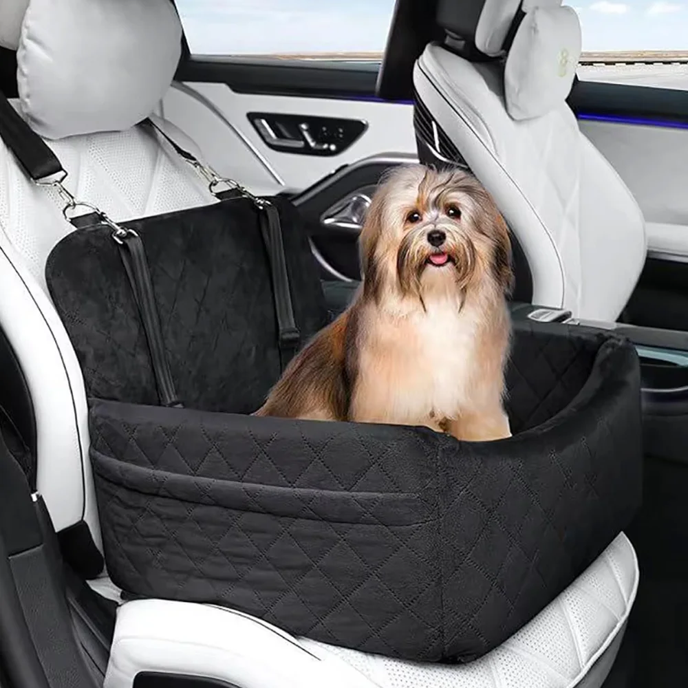 Travel with Your Dog in the UK This Summer image 03