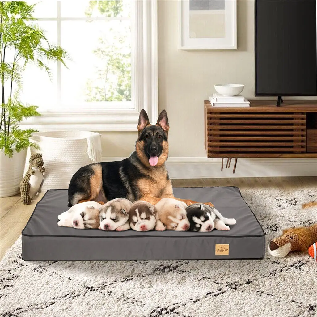 kf S4038de263d3242fcb3e5aecc201da192L Cat Litter Boxes, Dog Collars, Automatic Pet Feeder, Cat toys, Indestructible Dog Toys, Outdoor Cat House ,Dog House and many more — Fast delivery at door step