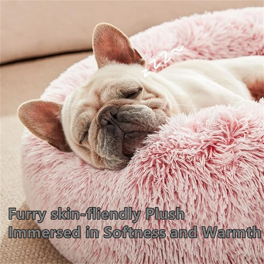 kf S747c3658977b4fdb86877834d745a5c6O 1 Cat Litter Boxes, Dog Collars, Automatic Pet Feeder, Cat toys, Indestructible Dog Toys, Outdoor Cat House ,Dog House and many more — Fast delivery at door step