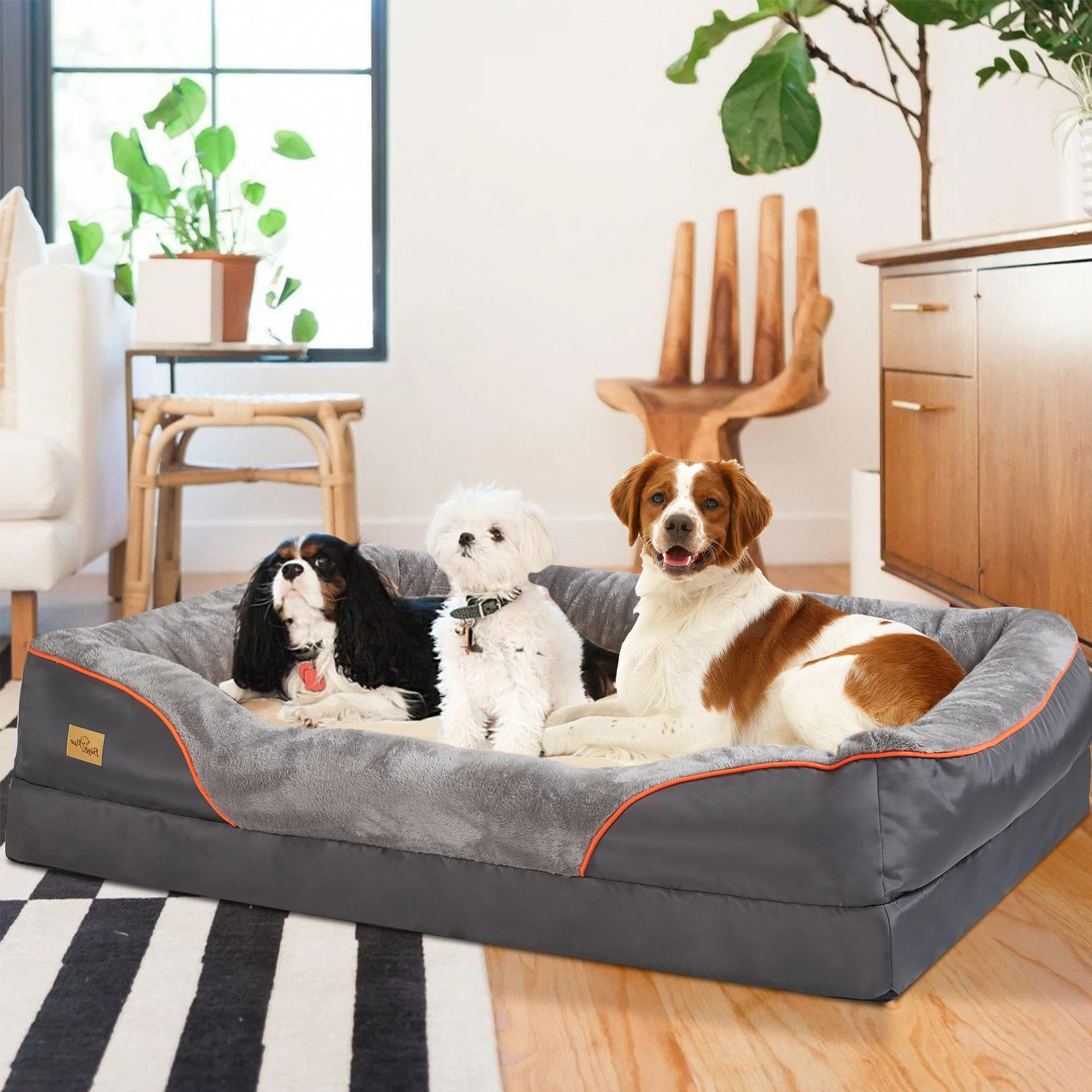 kf Cat Litter Boxes, Dog Collars, Automatic Pet Feeder, Cat toys, Indestructible Dog Toys, Outdoor Cat House ,Dog House and many more — Fast delivery at door step