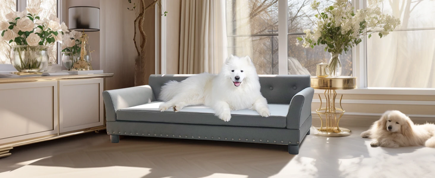 kf S9badb6523938451f8afbd0f63858e720M Cat Litter Boxes, Dog Collars, Automatic Pet Feeder, Cat toys, Indestructible Dog Toys, Outdoor Cat House ,Dog House and many more — Fast delivery at door step