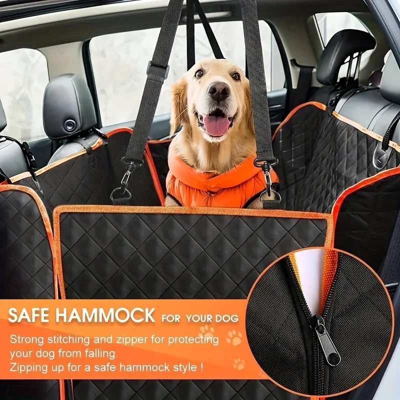 Travel with Your Dog in the UK This Summer image 02