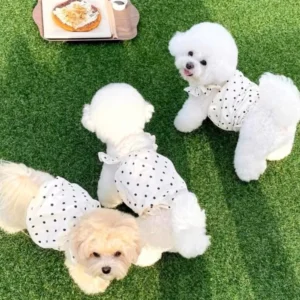 Pet Outfits Dot Pattern Su Dog Clothes Cute Thin Shirts Puppy Skirt Sweet Fashion Dog Costume Cat Dresses French Bulldog