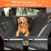 Travel with Your Dog in the UK This Summer image 01