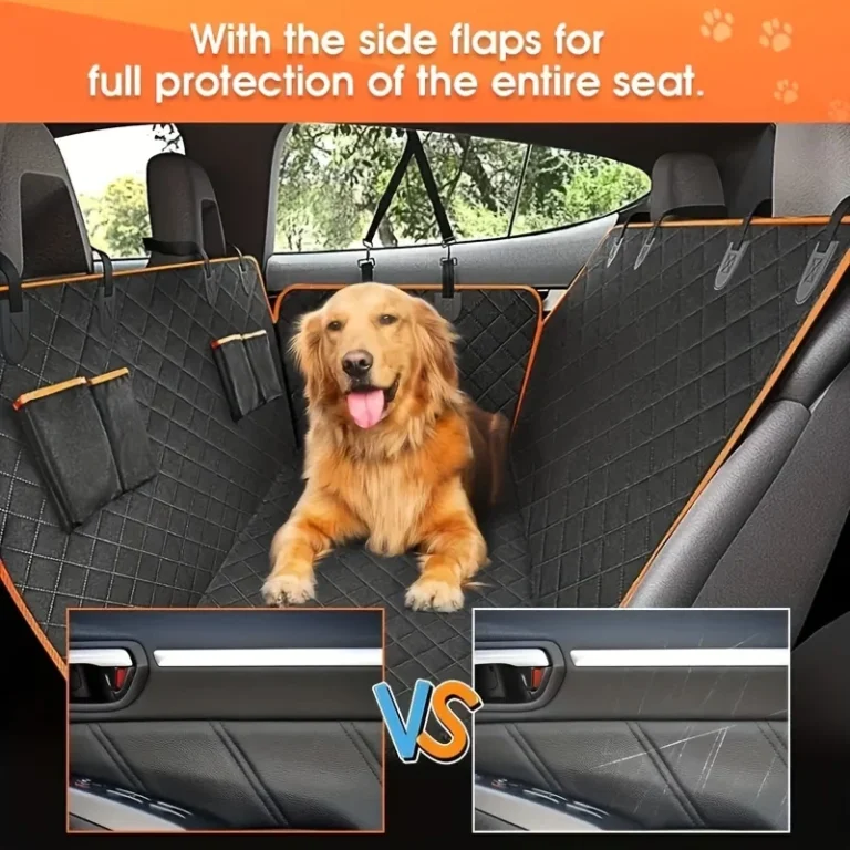 Travel with Your Dog in the UK This Summer image 01