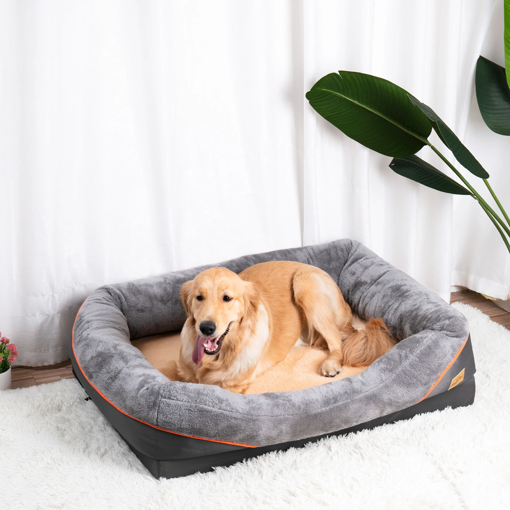 kf Sbd93682b72f04a24a9fbf22db3eeaa2ck Cat Litter Boxes, Dog Collars, Automatic Pet Feeder, Cat toys, Indestructible Dog Toys, Outdoor Cat House ,Dog House and many more — Fast delivery at door step