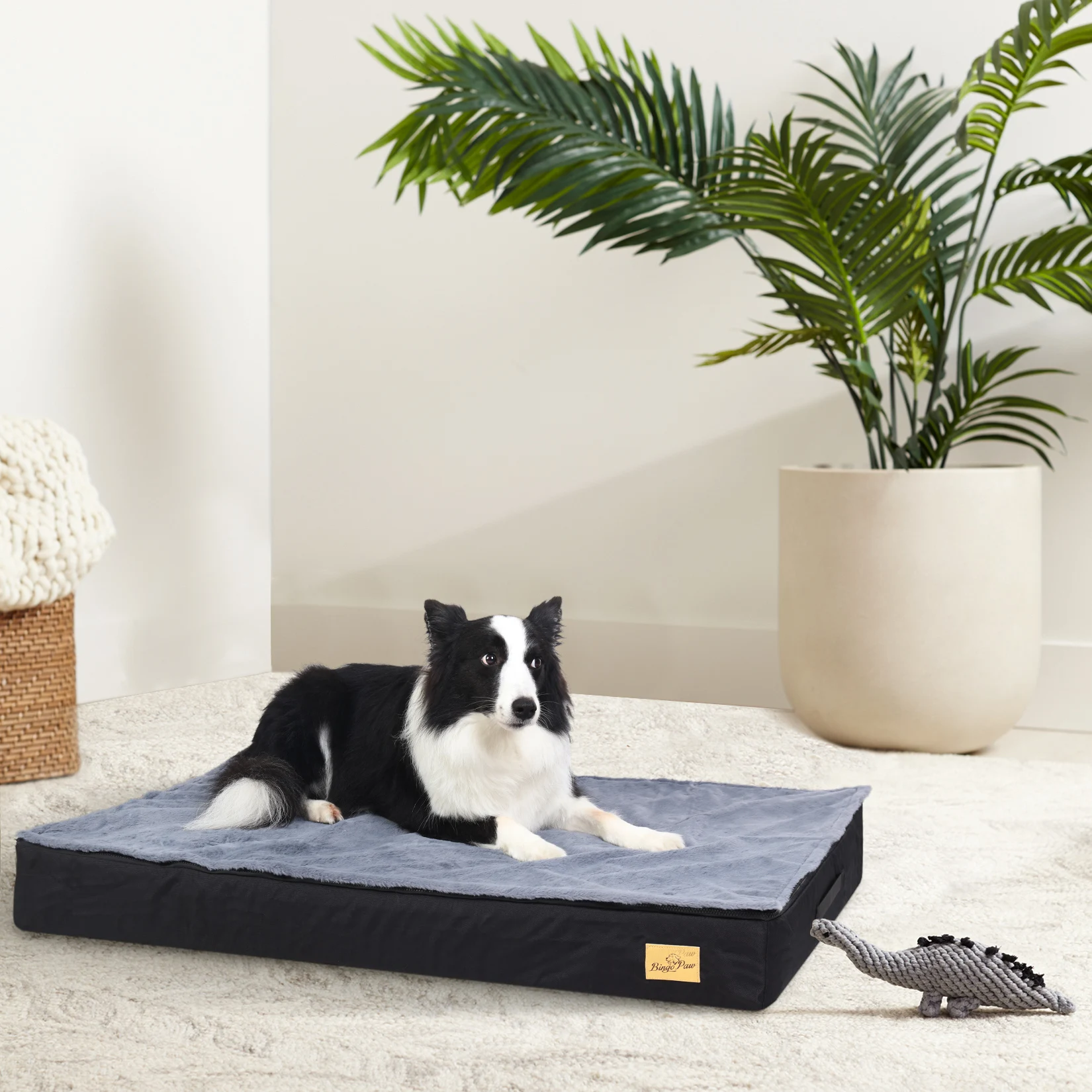 kf Sceb2d7077f794ac8b043f7b1120888ab8 Cat Litter Boxes, Dog Collars, Automatic Pet Feeder, Cat toys, Indestructible Dog Toys, Outdoor Cat House ,Dog House and many more — Fast delivery at door step