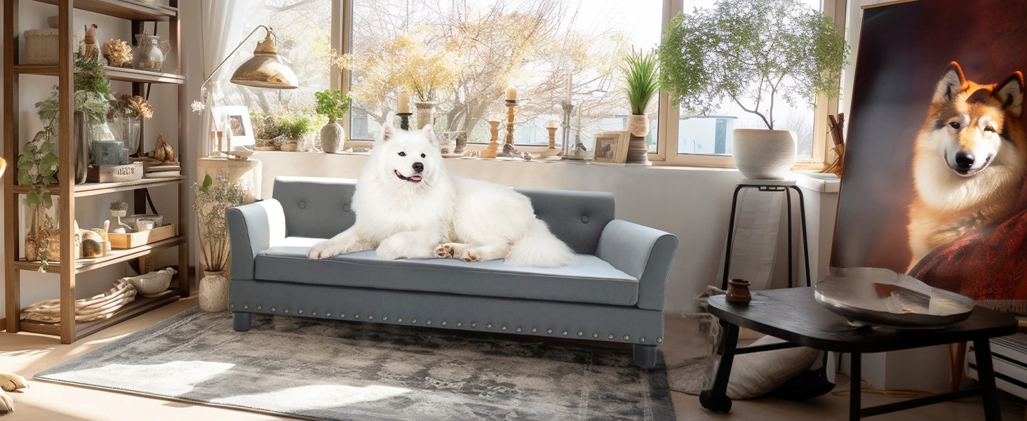 kf Sf87aaa1baefa4b4cb3a9c626992d682cv Cat Litter Boxes, Dog Collars, Automatic Pet Feeder, Cat toys, Indestructible Dog Toys, Outdoor Cat House ,Dog House and many more — Fast delivery at door step