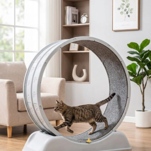 cat wheel or exercise wheel image 01 cat wheel or exercise wheel image 01